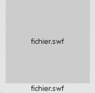 swf.jpg