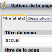 pageopt1.jpg