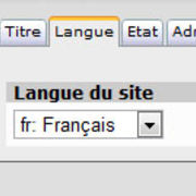 options_langue.jpg